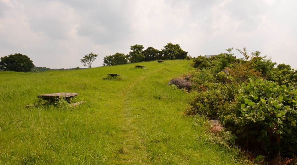 佐賀県伊万里市の大平山