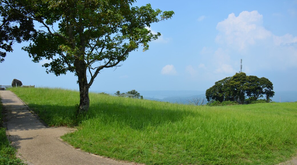佐賀県伊万里市の大平山
