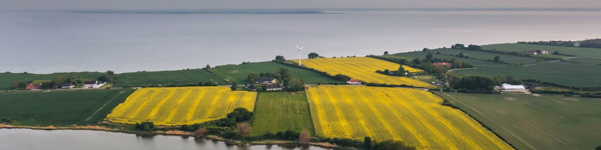A rural landscape with fields of yellow crops, a body of water, and a wind turbine.