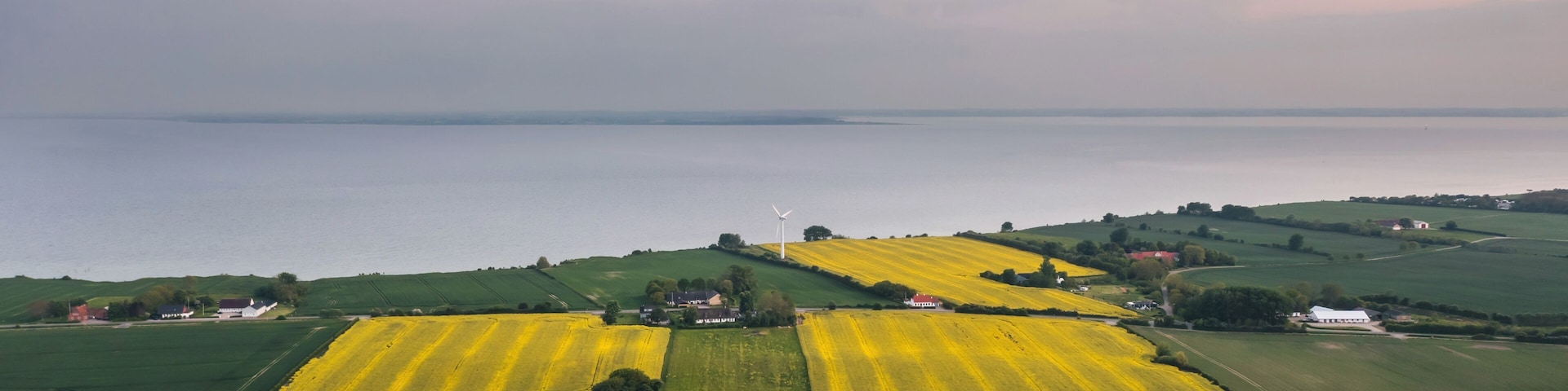 Ländliche Landschaft mit Feldern voller goldener Ernte, einem Gewässer und einer Windkraftanlage.