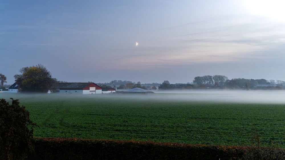 Rural scenic landscape in Denmark: farm barn, green manure fields covered with fog, moon rising in the evening sky