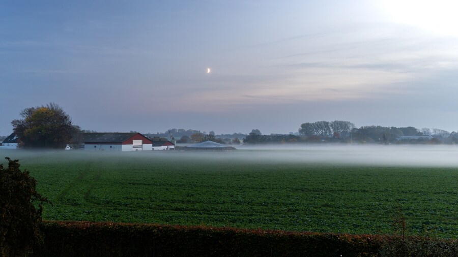 Rural scenic landscape in Denmark: farm barn, green manure fields covered with fog, moon rising in the evening sky