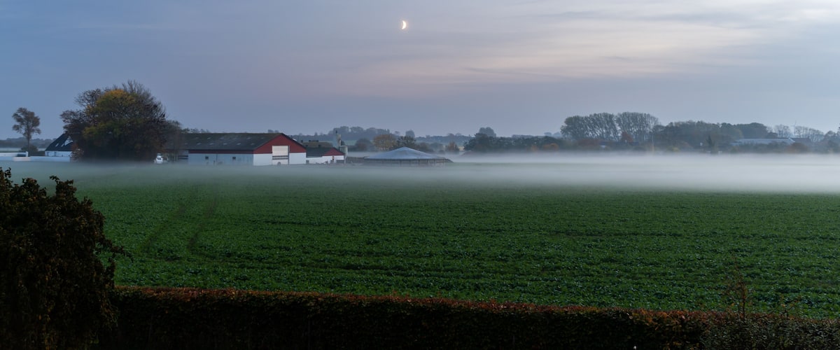 A misty rural landscape with a barn, fields, and a crescent moon.