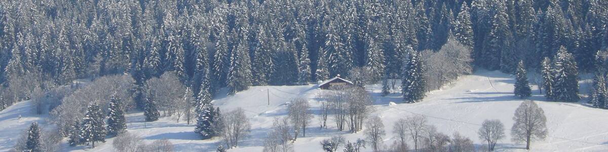 Mont Blanc de Combloux Ormaret Demi Quartier
