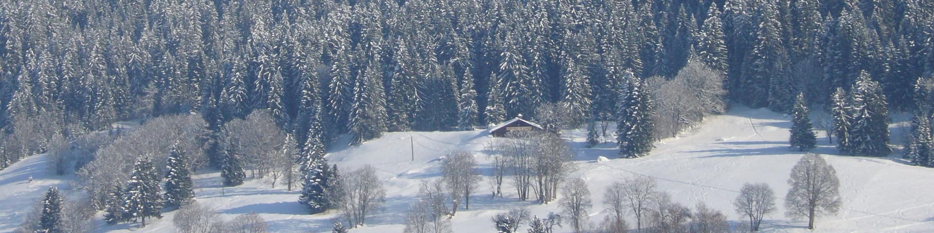 Mont Blanc de Combloux Ormaret Demi Quartier