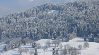 A snow-covered mountain range with dense forests and a clear sky.