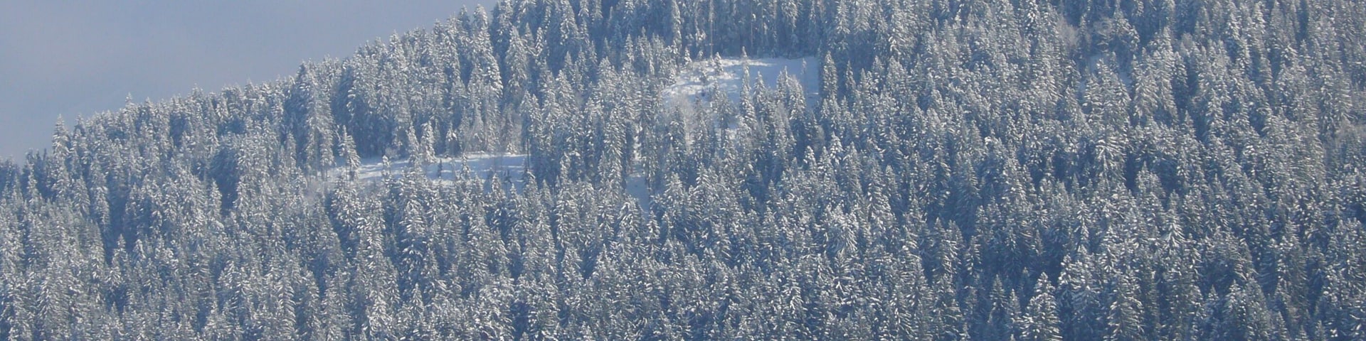 Mont Blanc de Combloux Ormaret Demi Quartier