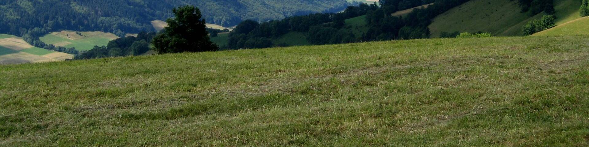 Mont Bénand august 2007