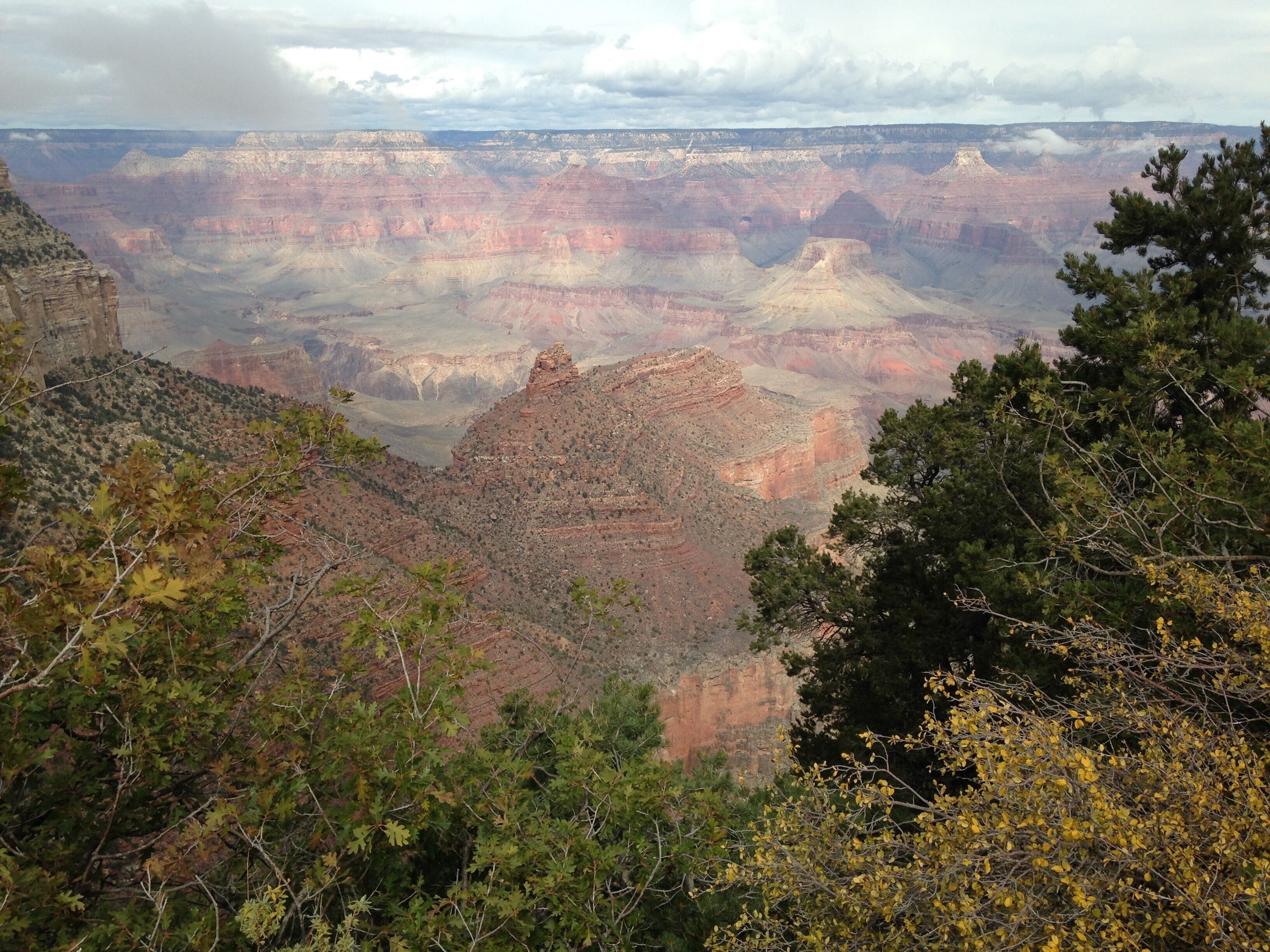 Picture from 2018.  I spent my 50th birthday at the Grand Canyon.  #Trovember