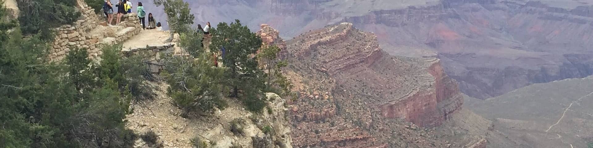 Friendly crow at the South Rim