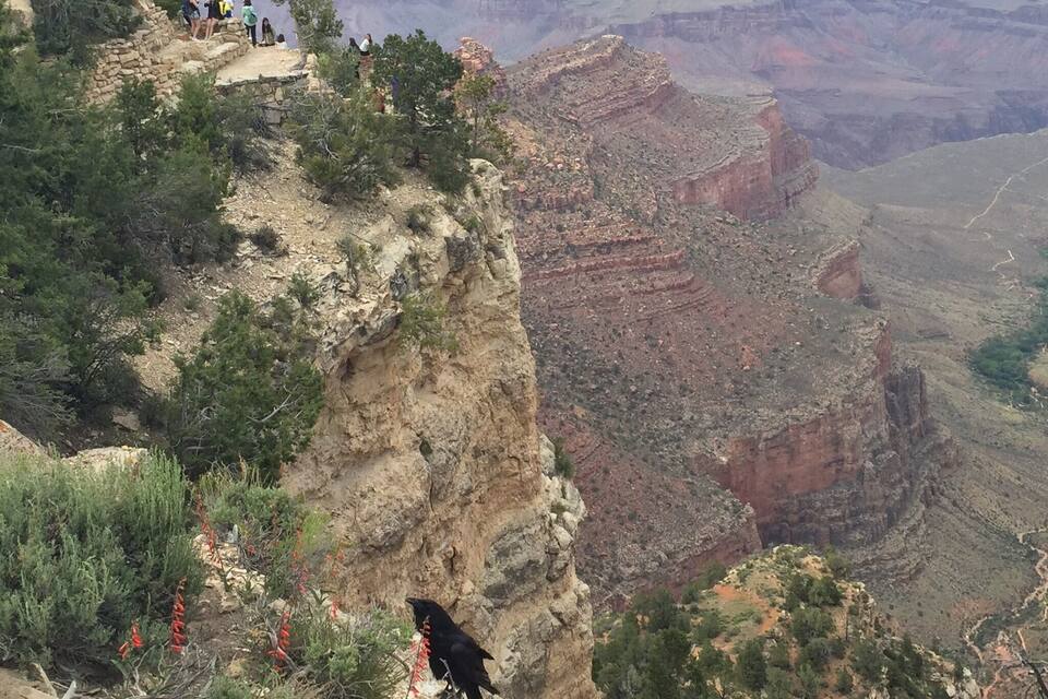 A canyon with a steep cliff and a group of people on a viewing platform.