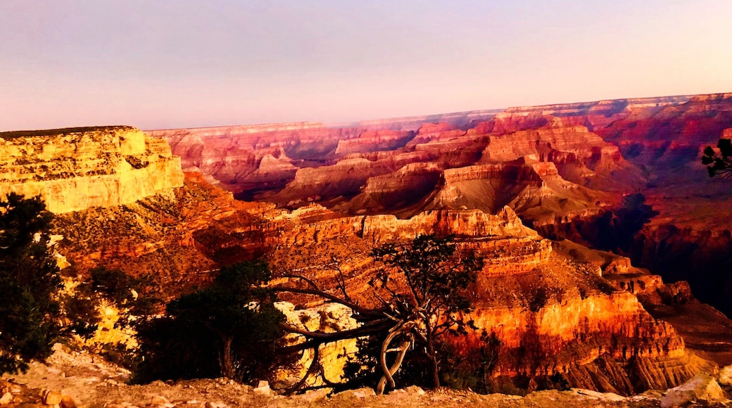 Spectacular views of Grand Canyon!
#roadtrip #ontheroad #adventure #trovember #greatoutdoors #history