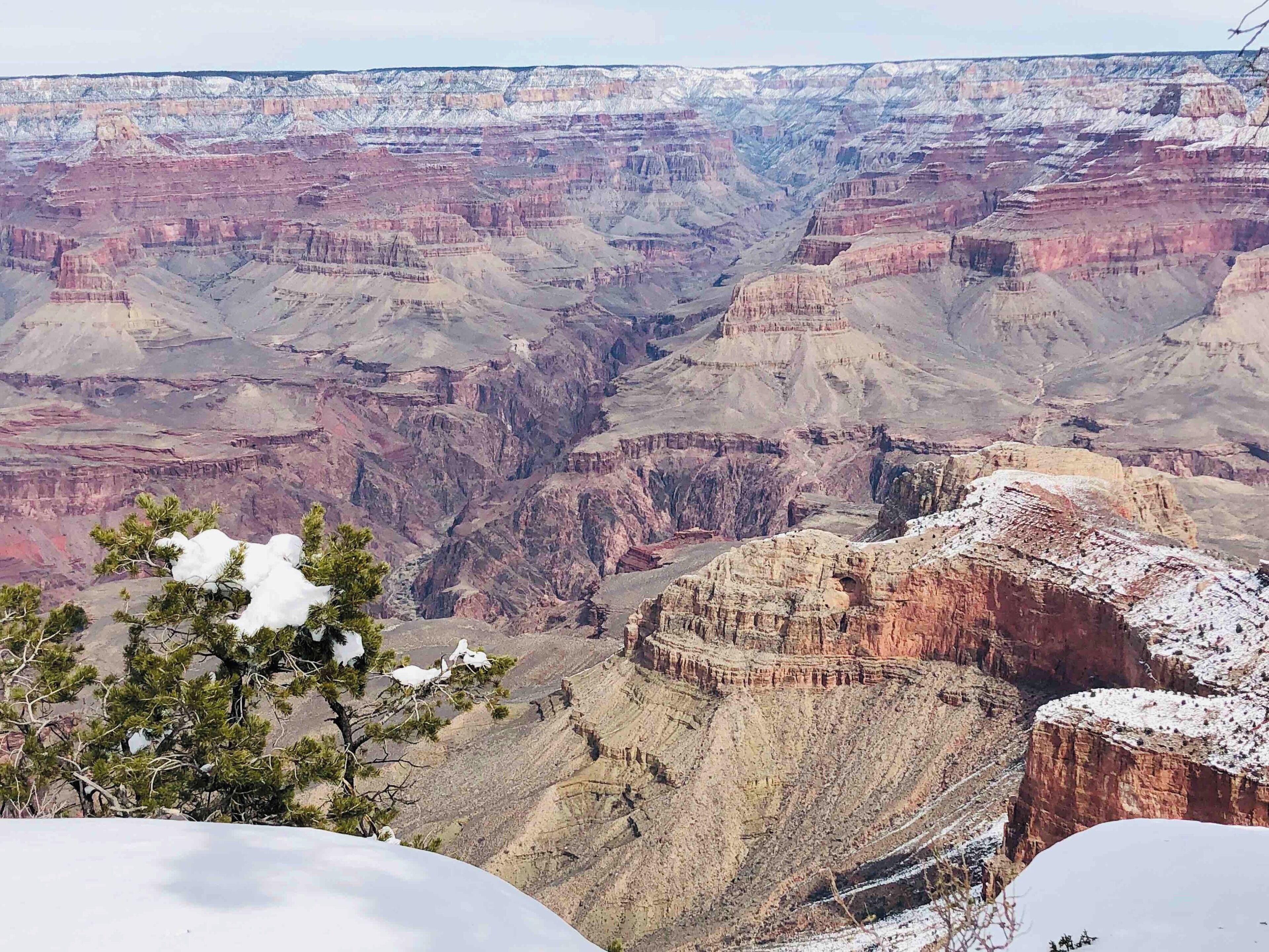 Yet another look at the Canyon from the overlook at the Visitor Center. Coming in the winter means the park is much less crowded and the Canyon is dusted with snow. The downfall of visiting this time of year is that not all the roads or trails are open. It’s a pretty good trade off, in my opinion.