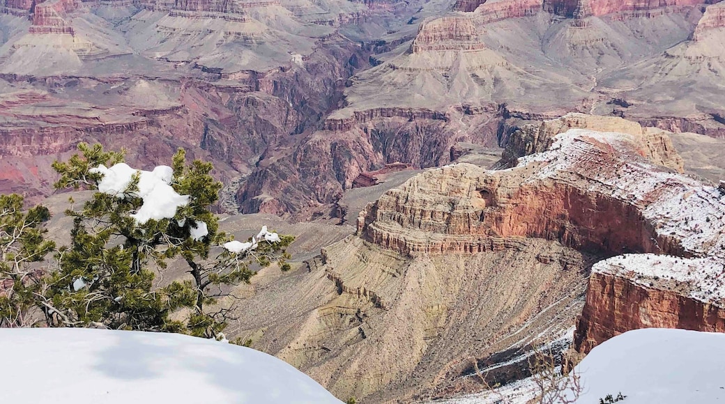 Yet another look at the Canyon from the overlook at the Visitor Center. Coming in the winter means the park is much less crowded and the Canyon is dusted with snow. The downfall of visiting this time of year is that not all the roads or trails are open. Itâs a pretty good trade off, in my opinion.