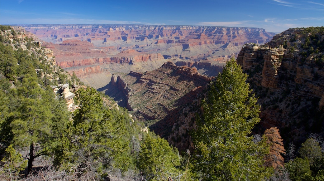 Grand Canyon featuring a gorge or canyon and tranquil scenes