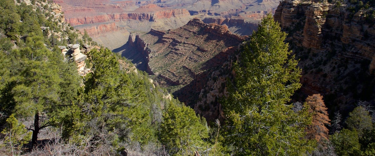 Grand Canyon Hotel Guide