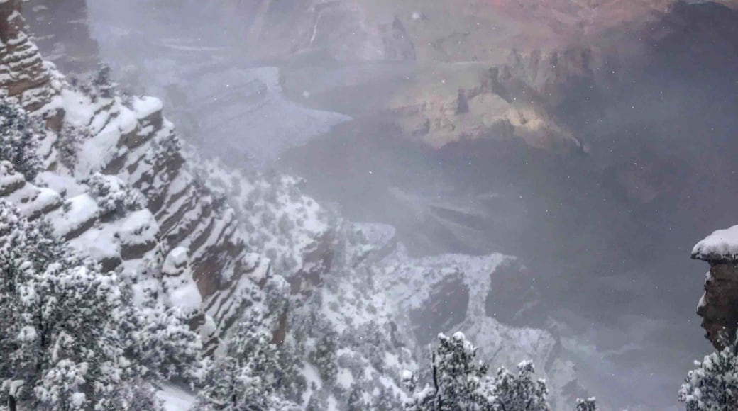 Caught the Grand Canyon in a snow storm!