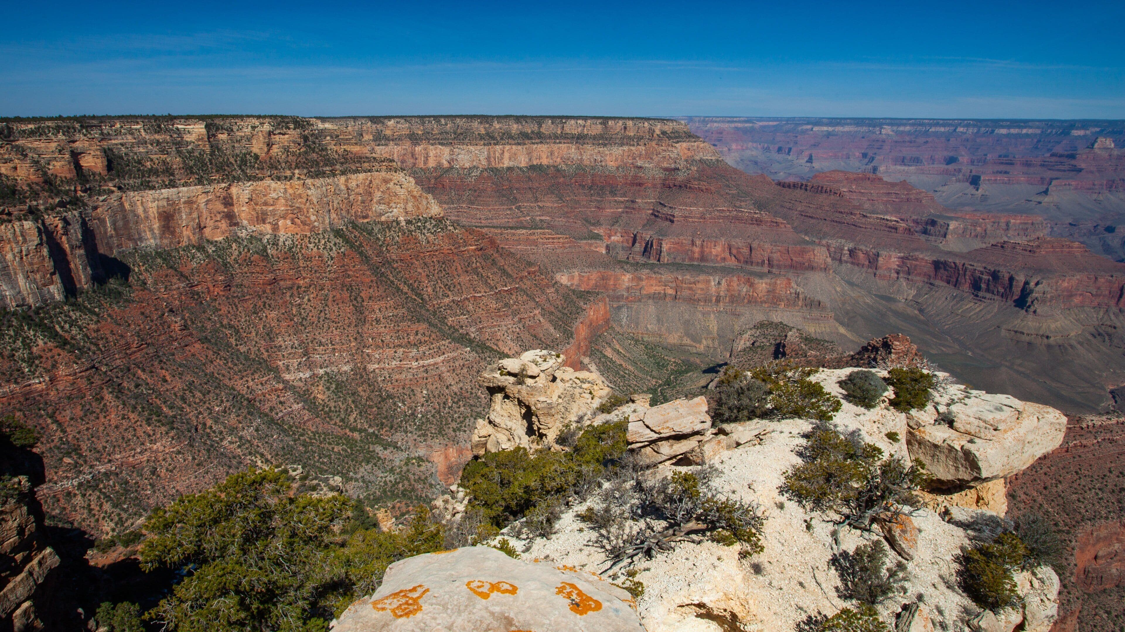 Grand Canyon featuring a gorge or canyon and landscape views