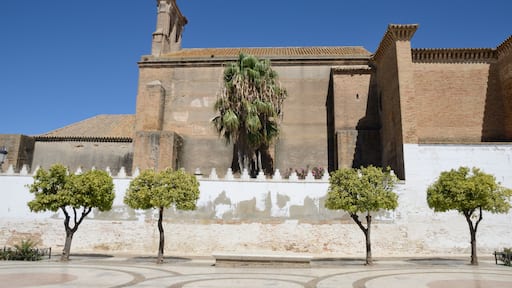 Moguer