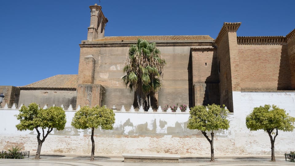 A historic building with a tiled roof, a large palm tree in front, and a white wall with a brick base.