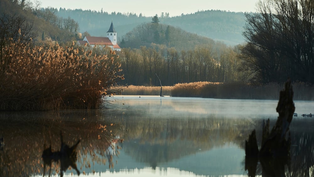 Sunrise and mist above a billabong in the Danube River with old wood and village church; Tegernheim, Bavaria, Germany
