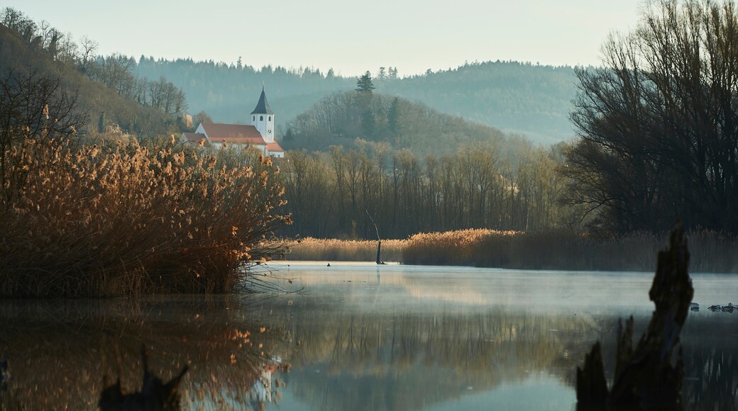 Sunrise and mist above a billabong in the Danube River with old wood and village church; Tegernheim, Bavaria, Germany