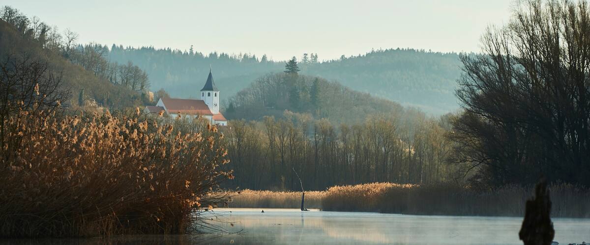 Sunrise and mist above a billabong in the Danube River with old wood and village church; Tegernheim, Bavaria, Germany
