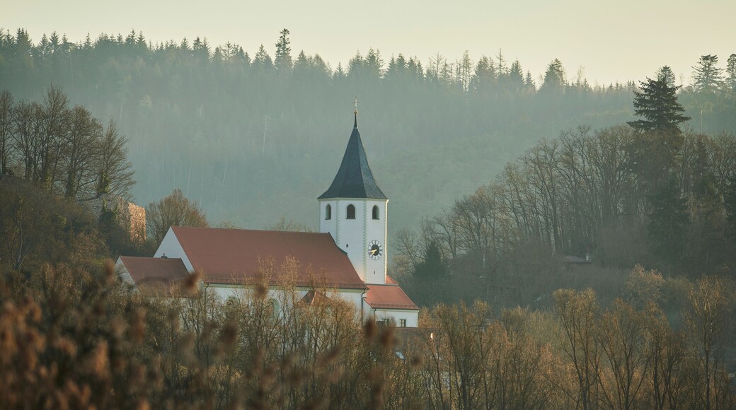 Sunrise above the Church of Tegernheim with bushes and bare trees in the morning light; Tegernheim, Bavaria, Germany