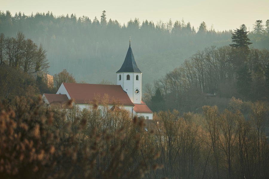 Eine Kirche mit Kirchturm, umgeben von Bäumen und Nebel.