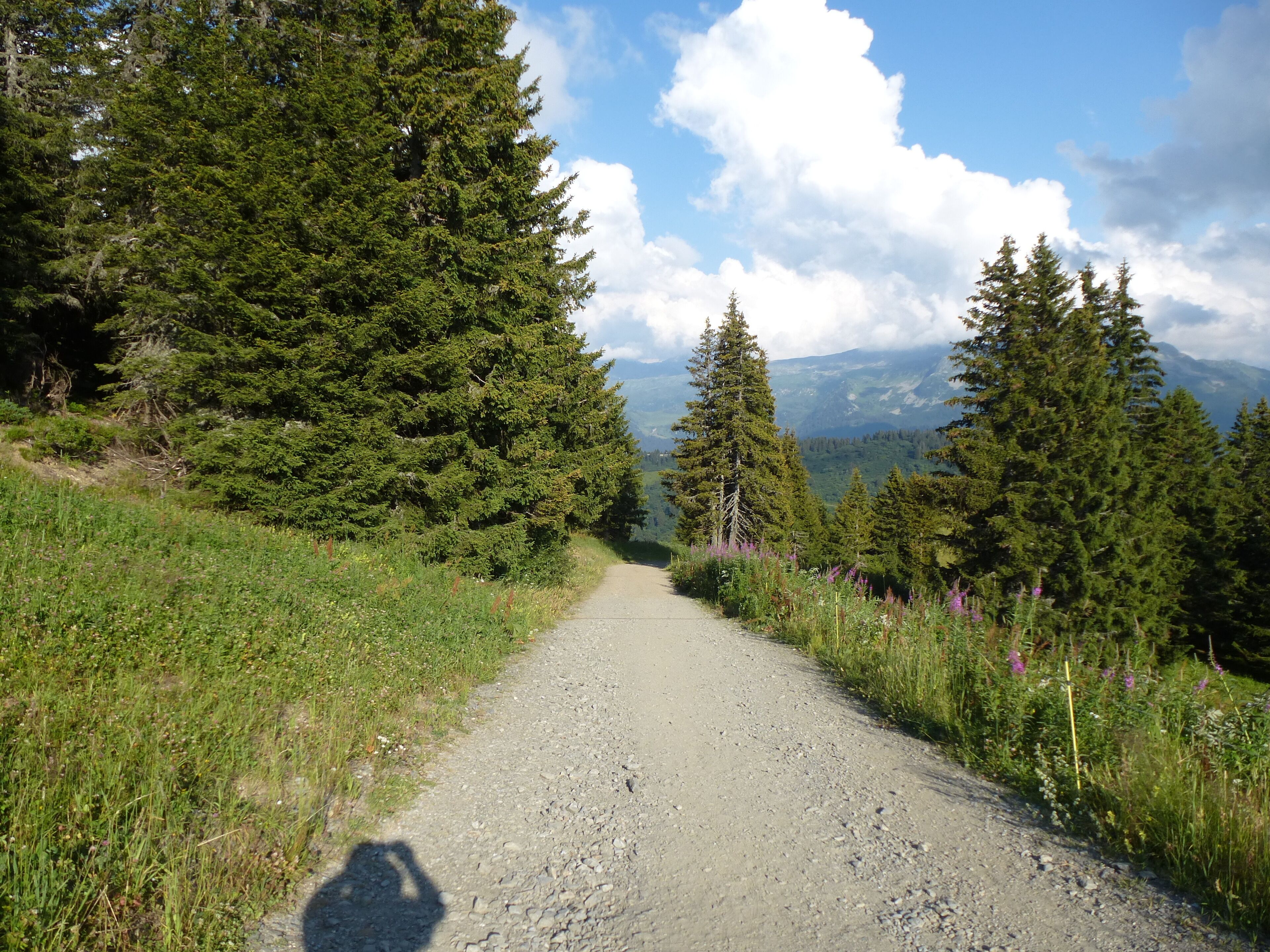 le sentier du chard du beurre