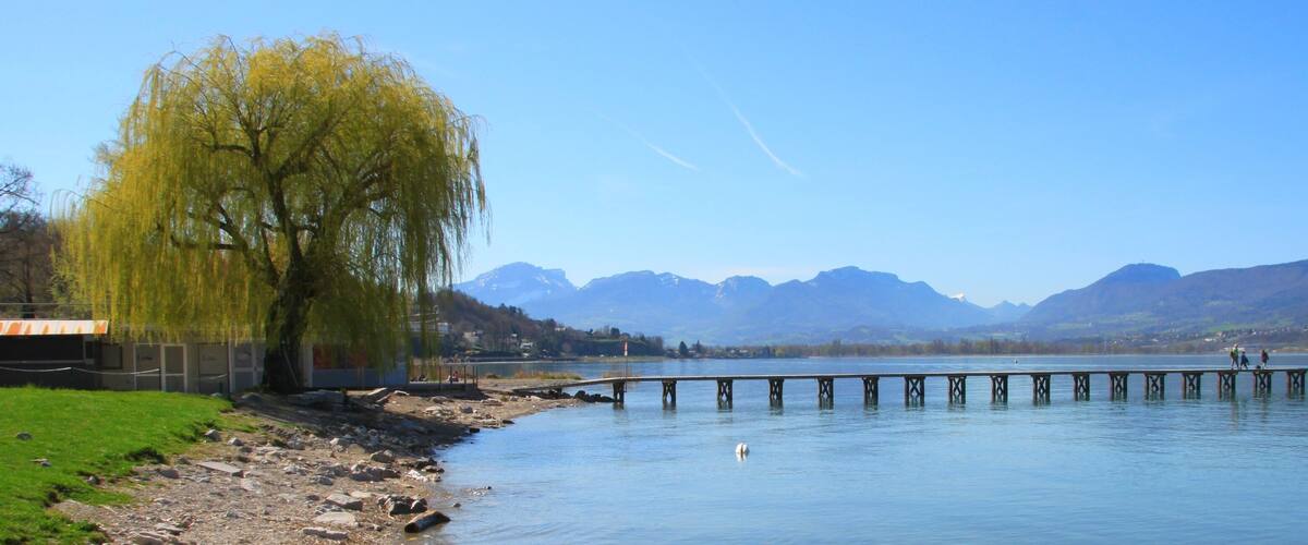A river with a wooden pier extending into it, a weeping willow tree, and mountains in the background.