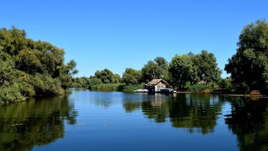 Danube Delta,Romania
