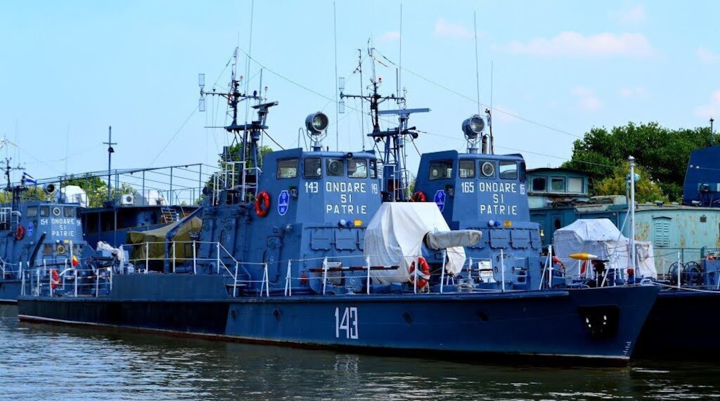 The Romanian Navy is the navy branch of the Romanian Armed Forces; it operates in the Black Sea and on the Danube. It traces its history back to 1860. #Blue