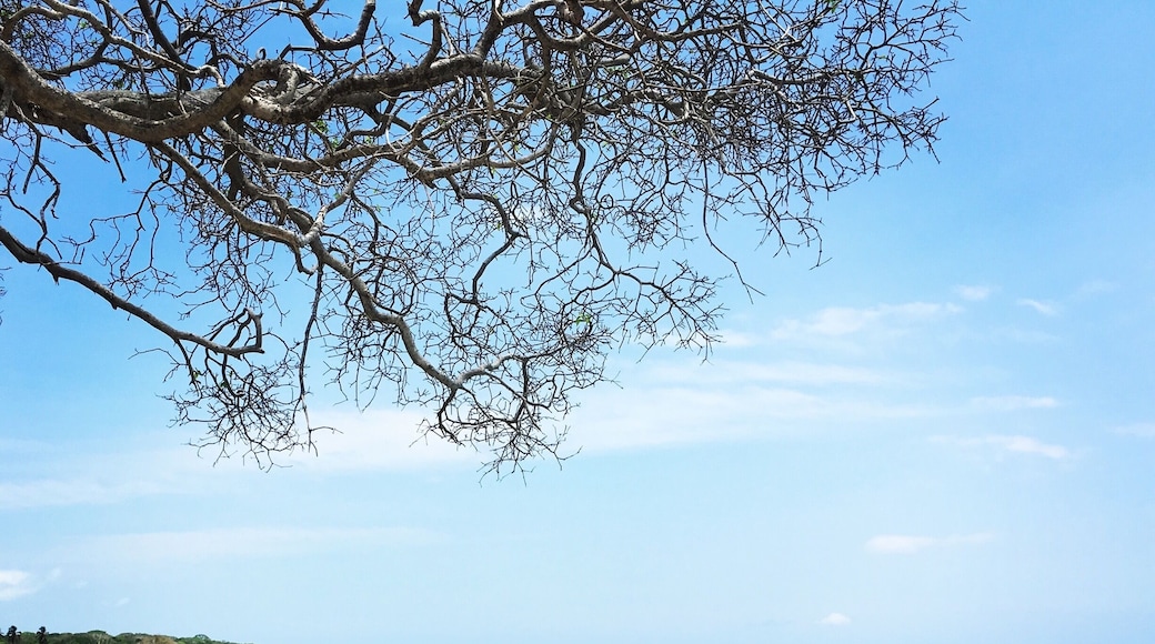 Playa Blanca a few hours from Cartagena. Stay in one of the many beach hostels and fall asleep to the sound of the waves 🏝