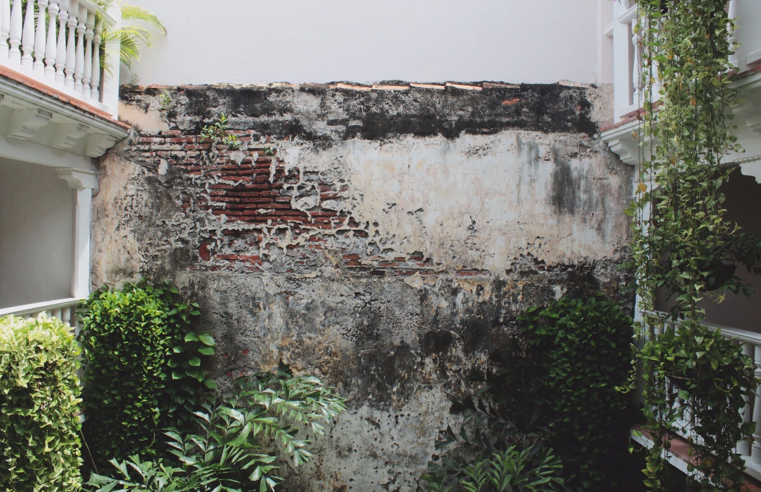 I am obsessed with old stone work and ivy. Cartagena has some of the most stunning luxury villas like this one where I stayed over the summer. Quiet, peaceful, beautiful, and a true work of art. Check out Casa Don Sancho or Casa De Indias when you visit this Colombian waterfront city!