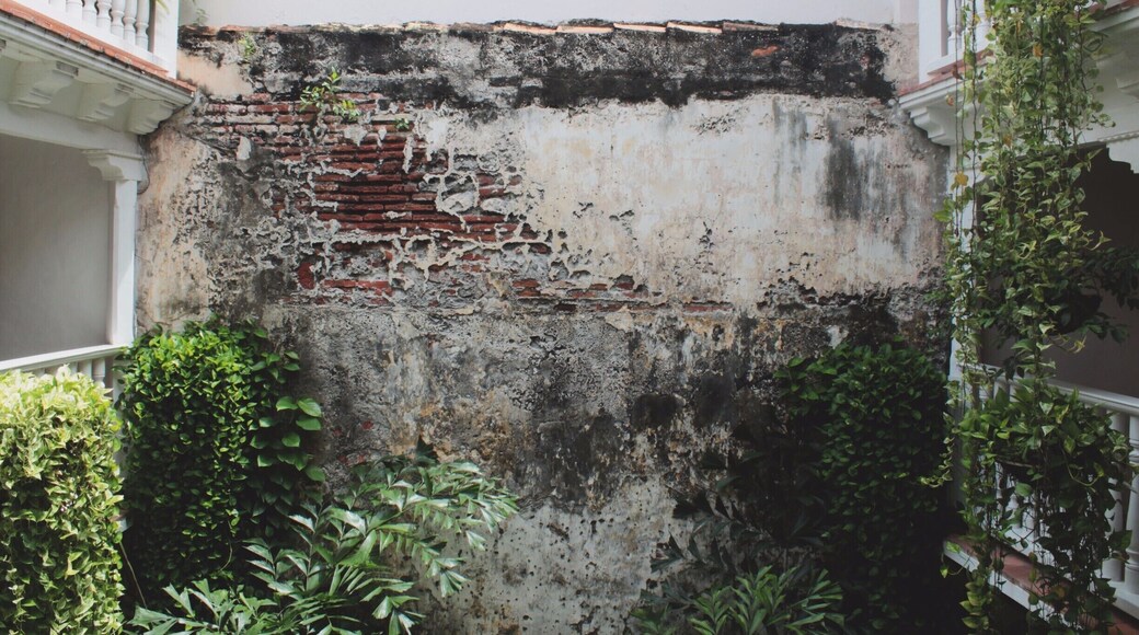 I am obsessed with old stone work and ivy. Cartagena has some of the most stunning luxury villas like this one where I stayed over the summer. Quiet, peaceful, beautiful, and a true work of art. Check out Casa Don Sancho or Casa De Indias when you visit this Colombian waterfront city!
