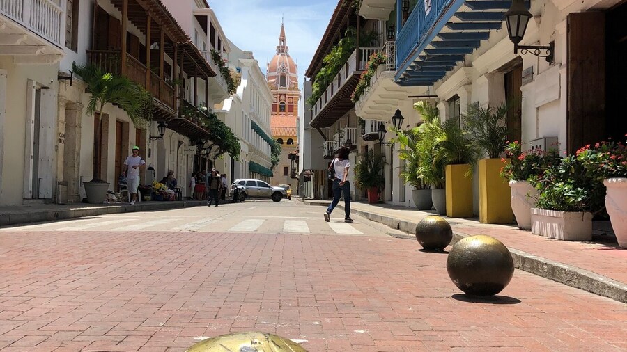 View of the cathedral