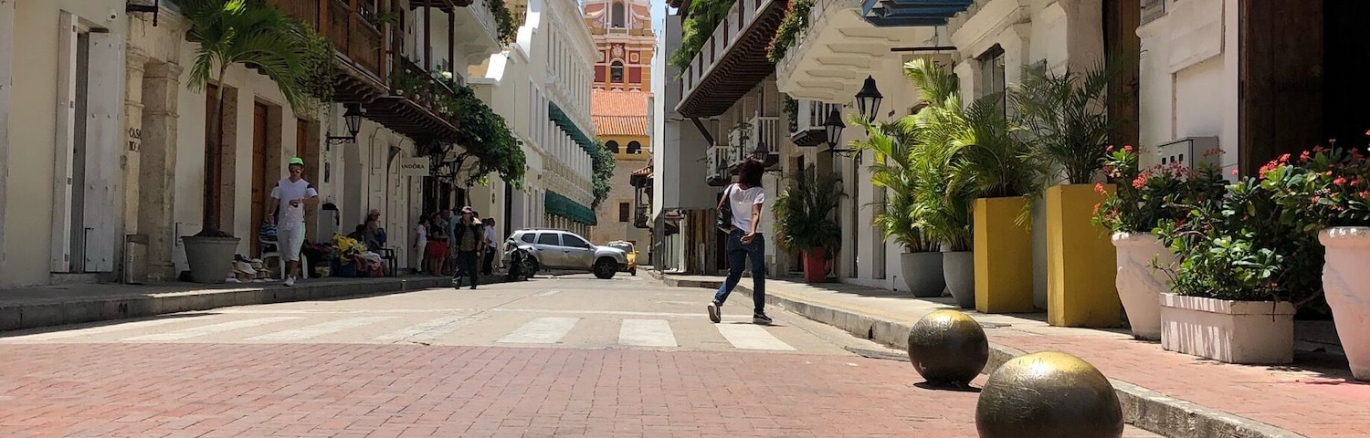 View of the cathedral