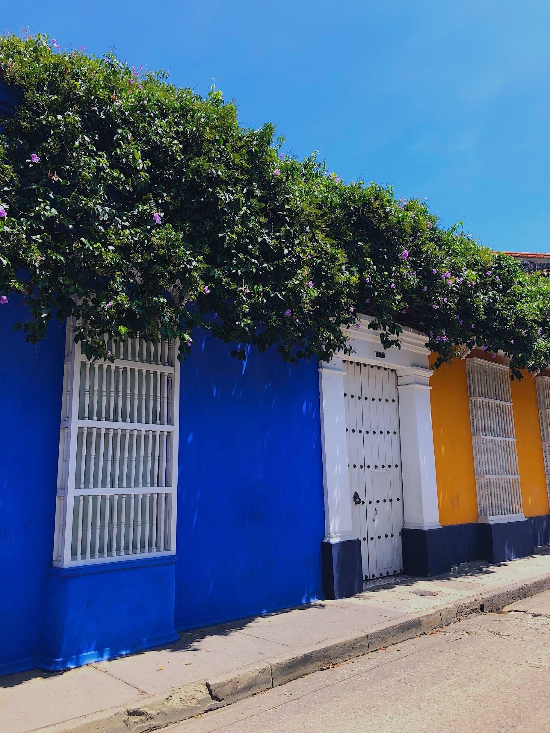 #LifeAtExpedia
#WeLoveOurMarkets
#LATAM
#BVSBlue