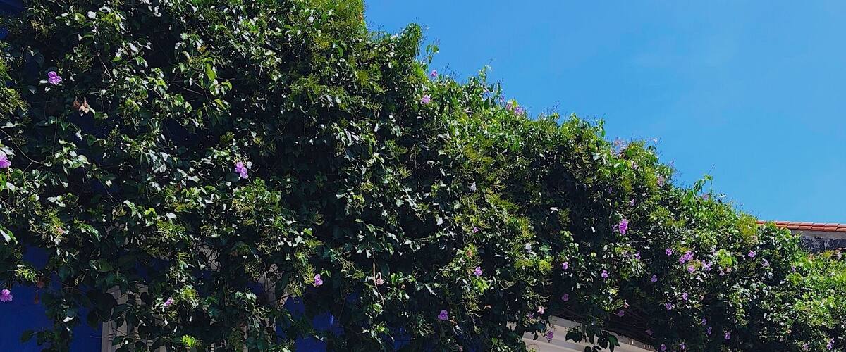 #LifeAtExpedia
#WeLoveOurMarkets
#LATAM
#BVSBlue