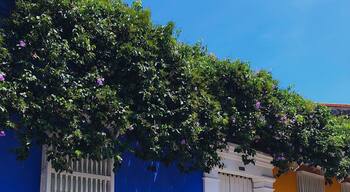 #LifeAtExpedia
#WeLoveOurMarkets
#LATAM
#BVSBlue