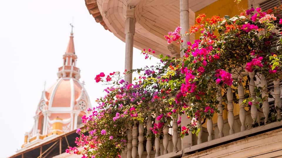 Wandering around the streets of magic Cartagena de Indias!