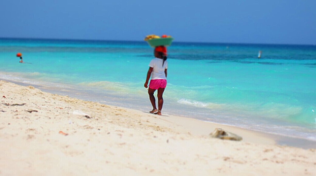 See my post about Cartagena. I love how locals have mastered the art of carrying a fruit bowl on one's head
#beach