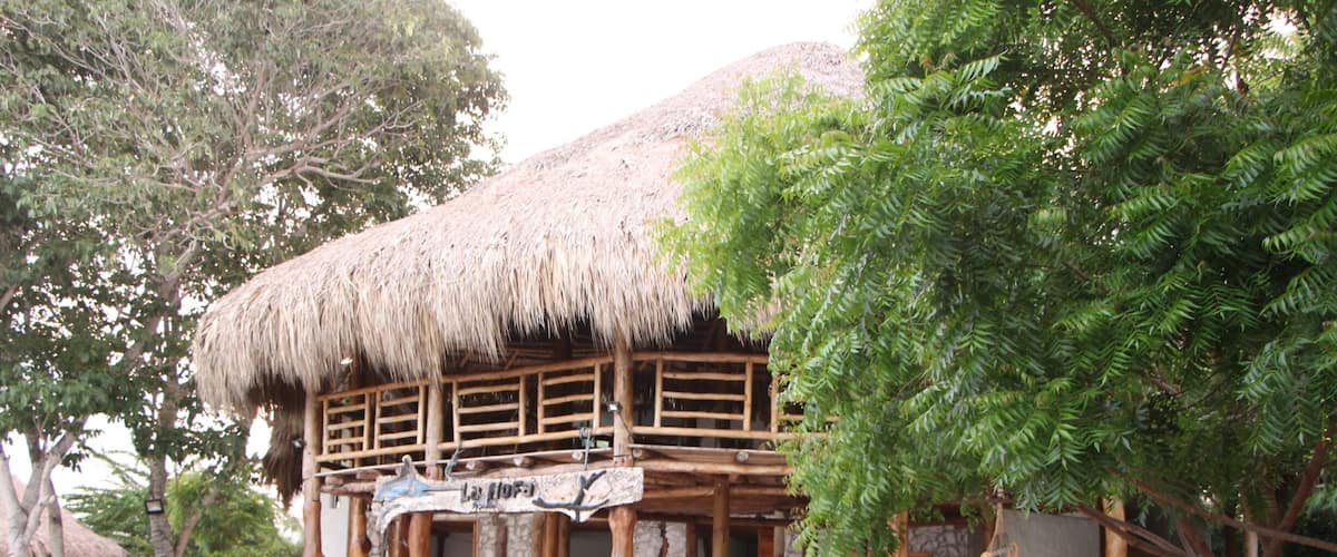A thatched-roof building with outdoor seating and a sign reading "La Hojita".