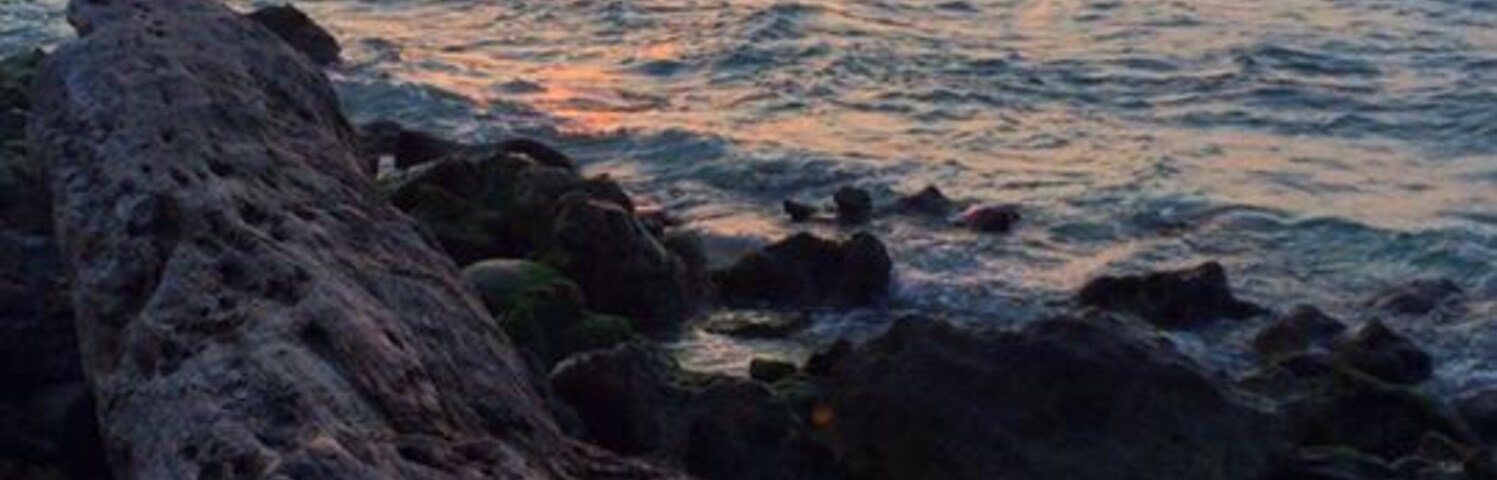 Um pôr do sol sobre o oceano, com rochas e um tronco grande em primeiro plano.