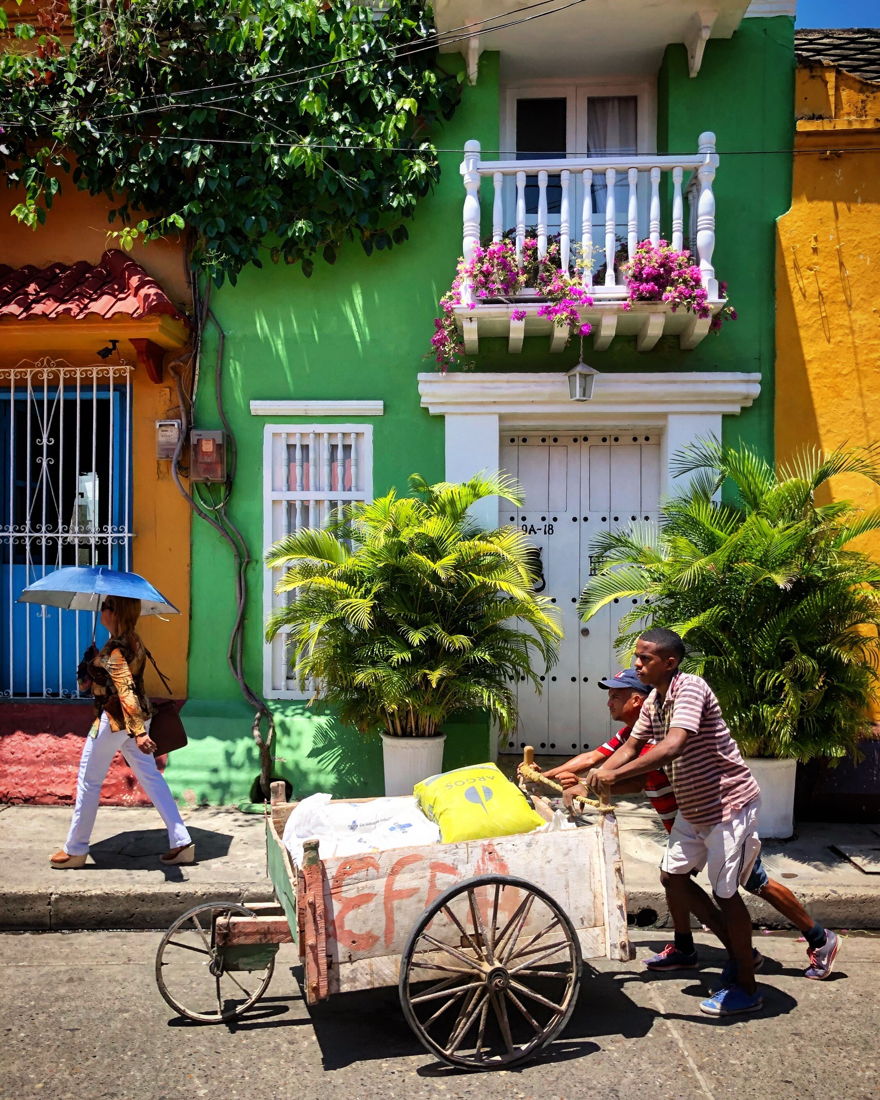 #adventure

Columbia is such a colorful and vibrant city.