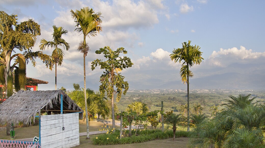 ์๋ฅด๋ฉ๋์