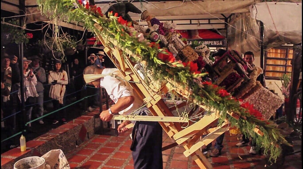 (1) The Feria de las Flores ends in a high with El Desfile de Silleteros. Back in the day, wealthy people would travel by being carried by other humans in a chair they would hang from their head. These people where known as silleteros, term derived from the Spanish word for chair, "silla". Farmer would also use this method for carrying their crops to sell them down in Medellin. (Keep reading on the other #Festival posts)