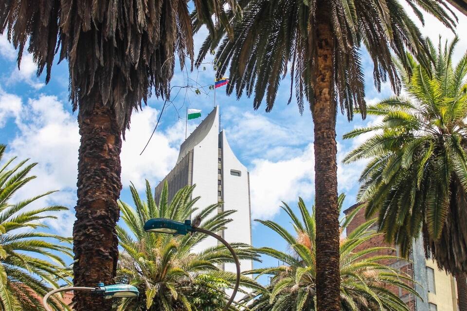 Uma palmeira, um poste de luz e um edifício com uma bandeira.
