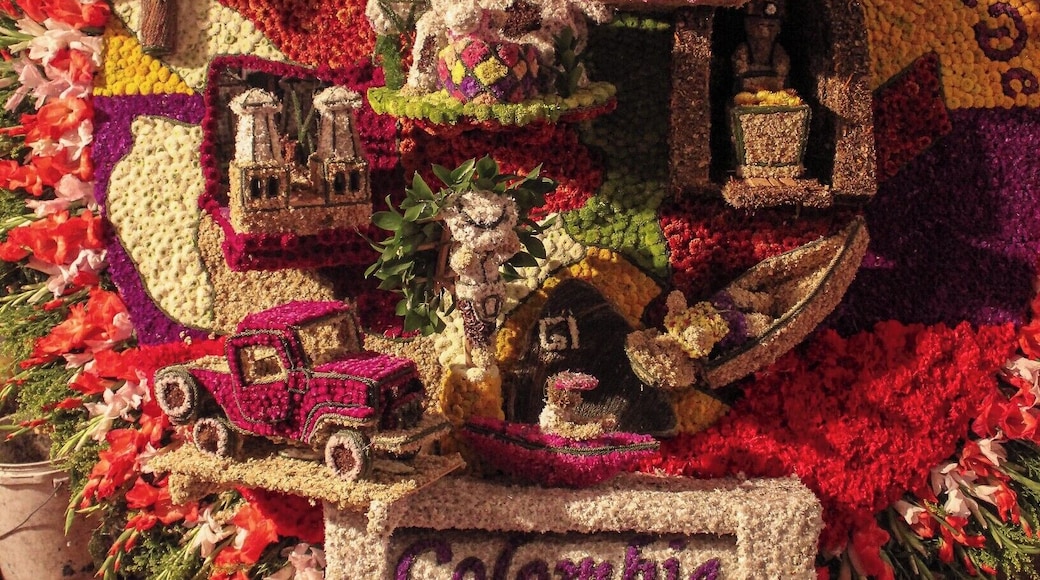 (3) The Feria de las Flores honors the days Medellinâs streets would be dressed with flowers by humble farmers walking around selling them. Only families from Santa Elena are allowed to participate in the parade. Which is very special because itâs the descendants of the original silleteros who fill Medellinâs streets every year in their honor. Pictured was the winning Silleta from 2013. (Keep reading on the other #Festival posts) #Culture